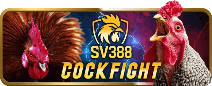 Hỗ trợ kỹ thuật rt88 game